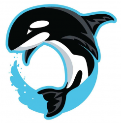 Orcas services