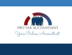 Pro Tax Accountant